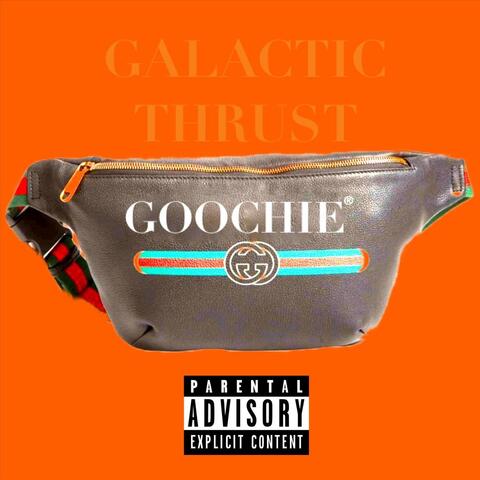 Goochie Fanny Pack