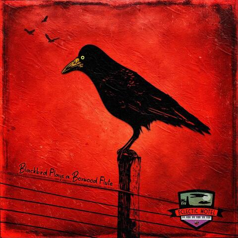 Blackbird Plays a Boxwood Flute