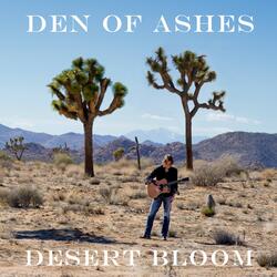 Desert Bloom
