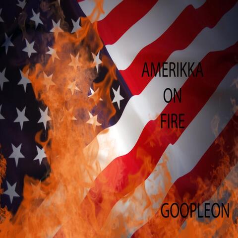Amerikkka on Fire
