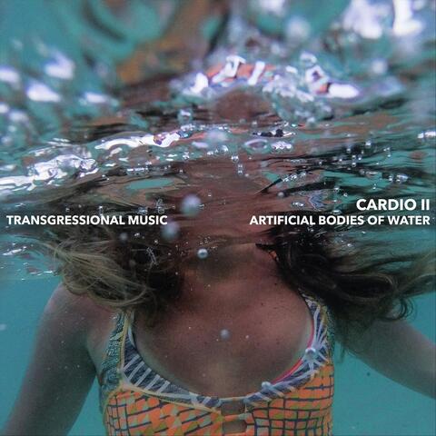 Cardio II: Artificial Bodies of Water