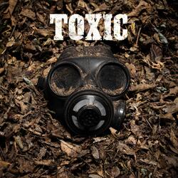 Toxic (Acoustic) [feat. Cassa Jackson]