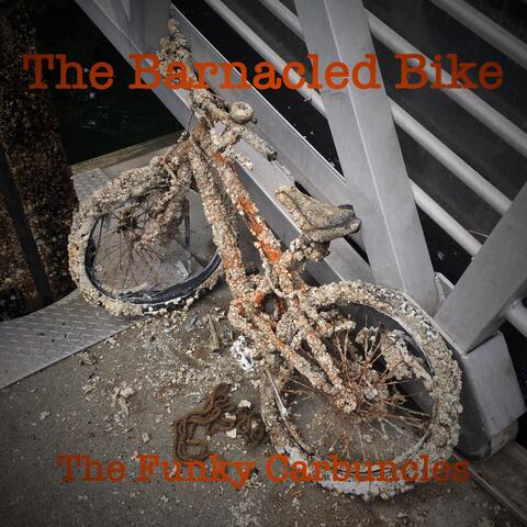 The Barnacled Bike
