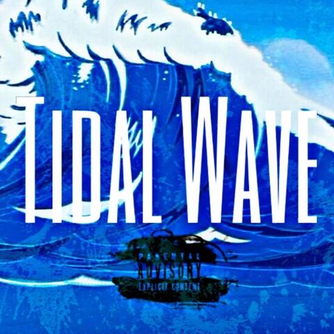 Tidal Wave (feat. Geebando & Nonink)