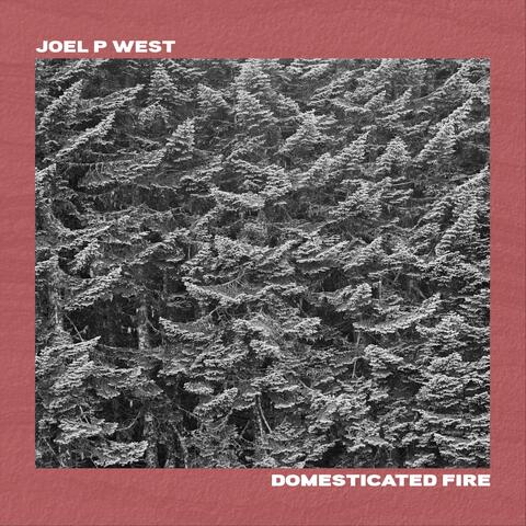 Domesticated Fire