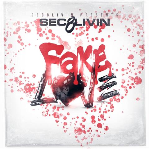 Fake Love (feat. Poloboy Nunu)