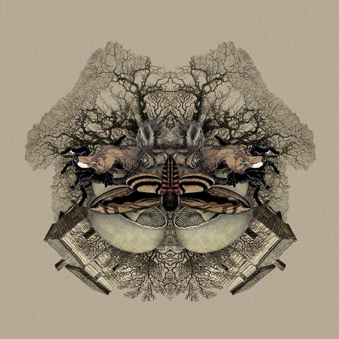 Wolves