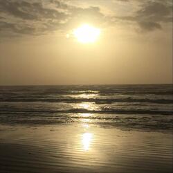 I'll Come Back Again