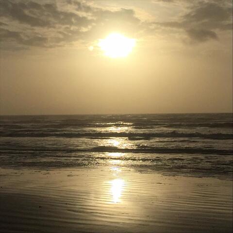 I'll Come Back Again