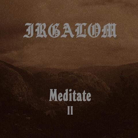 Meditation, Vol. 2