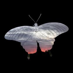 Everlasting Love (feat. Caitlin Holloway)