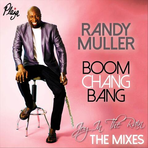 Joy in the Rain: The Mixes