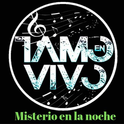 Misterio en la Noche