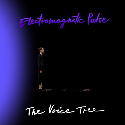 Electromagnetic Pulse