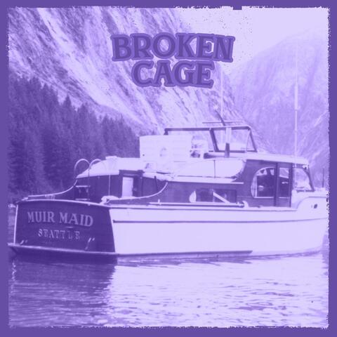 Broken Cage