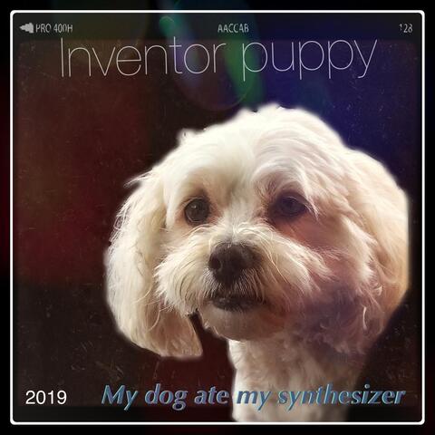 My Dog Ate My Synthesizer