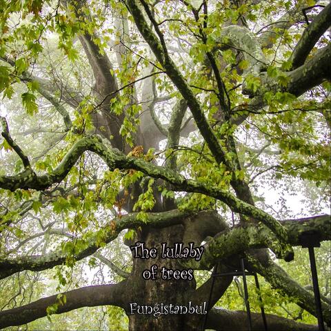 The Lullaby of Trees (feat. Duygu Demir)