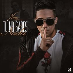 Tú No Sabes Nada