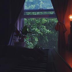 Rainfall (Piano Improvisation)