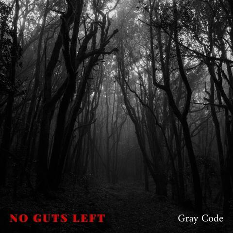 No Guts Left
