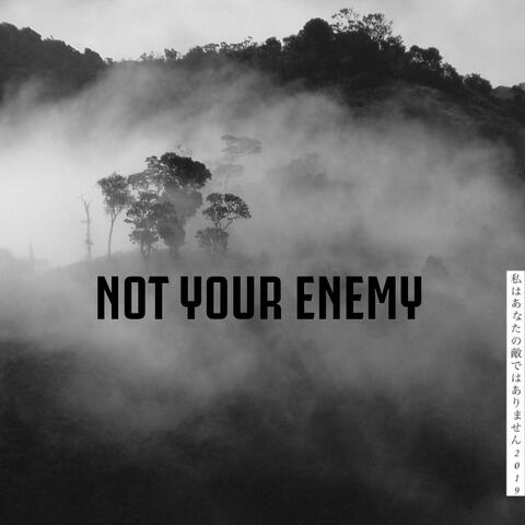 Not Your Enemy