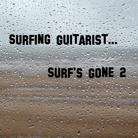 Surf's Gone 2