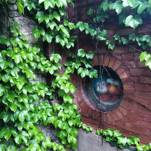 Wolf in Sheep's Clothing