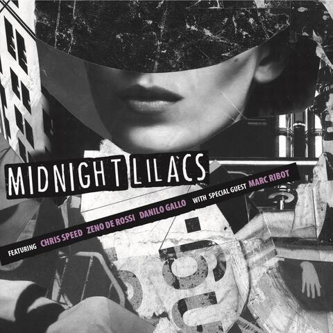Midnight Lilacs