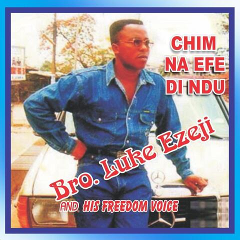 Chim Na Efe Di Ndu