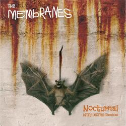 Nocturnal