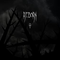 Reborn (Reloaded) [feat. Dvrko13]
