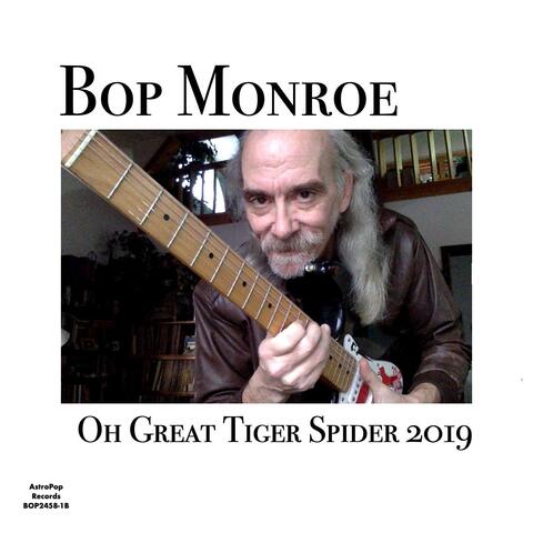 Oh Great Tiger Spider
