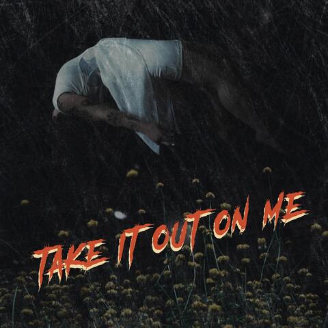 Take It out on Me