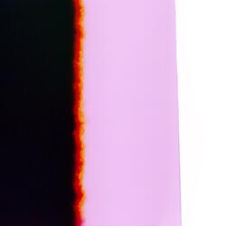 Safely Ingrained in One's Rituals