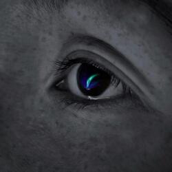The Northern Lights Once in Your Eyes