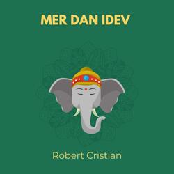 Mer Dan Idev