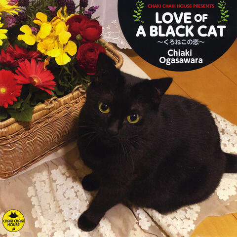 Love of a Black Cat