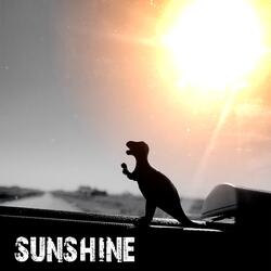 Sunshine