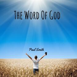 Noah Did as He Commanded