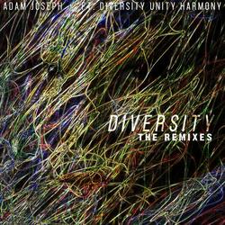 Diversity (Pacific Mile Remix) [feat. Diversity Unity Harmony]