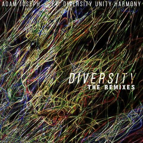 Diversity: The Remixes