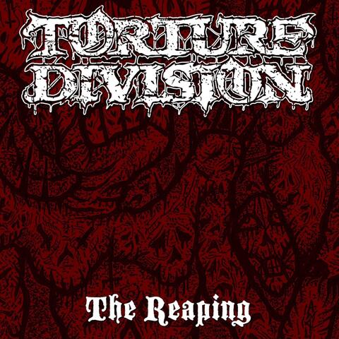 Torture Division