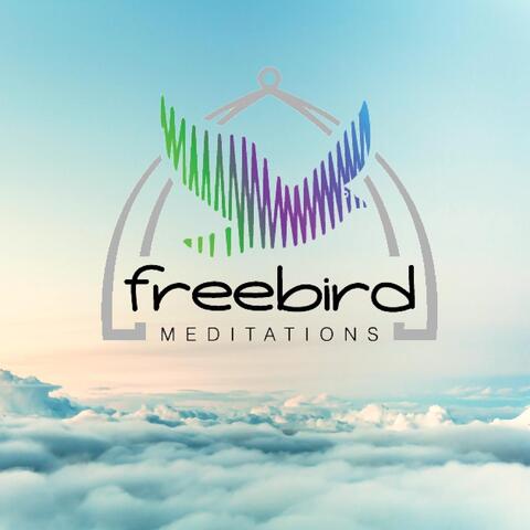 Guided Meditations Album One