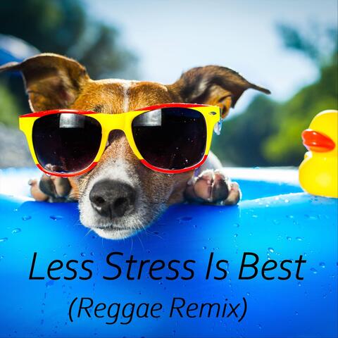 Less Stress Is Best (Reggae Remix)