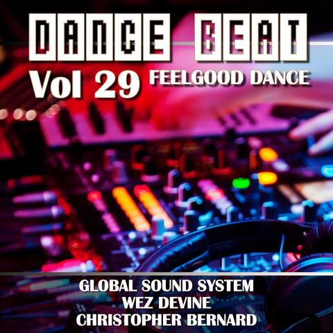 Dance Beat, Vol. 29: Feelgood Dance