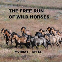 The Free Run of Wild Horses
