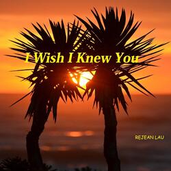 I Wish I Knew You