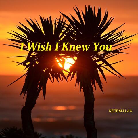 I Wish I Knew You