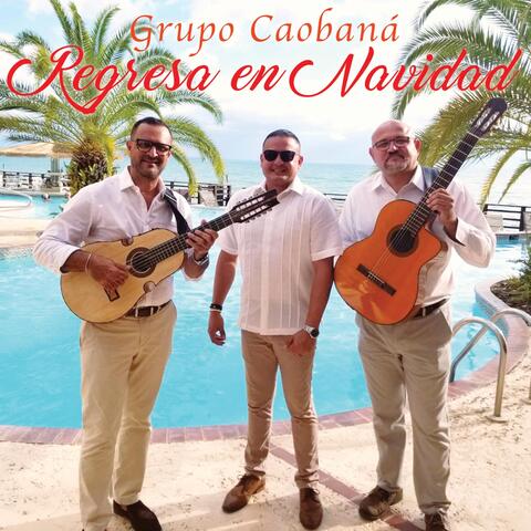 Regresa en Navidad