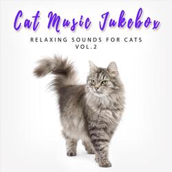 Cat Lullaby Theme